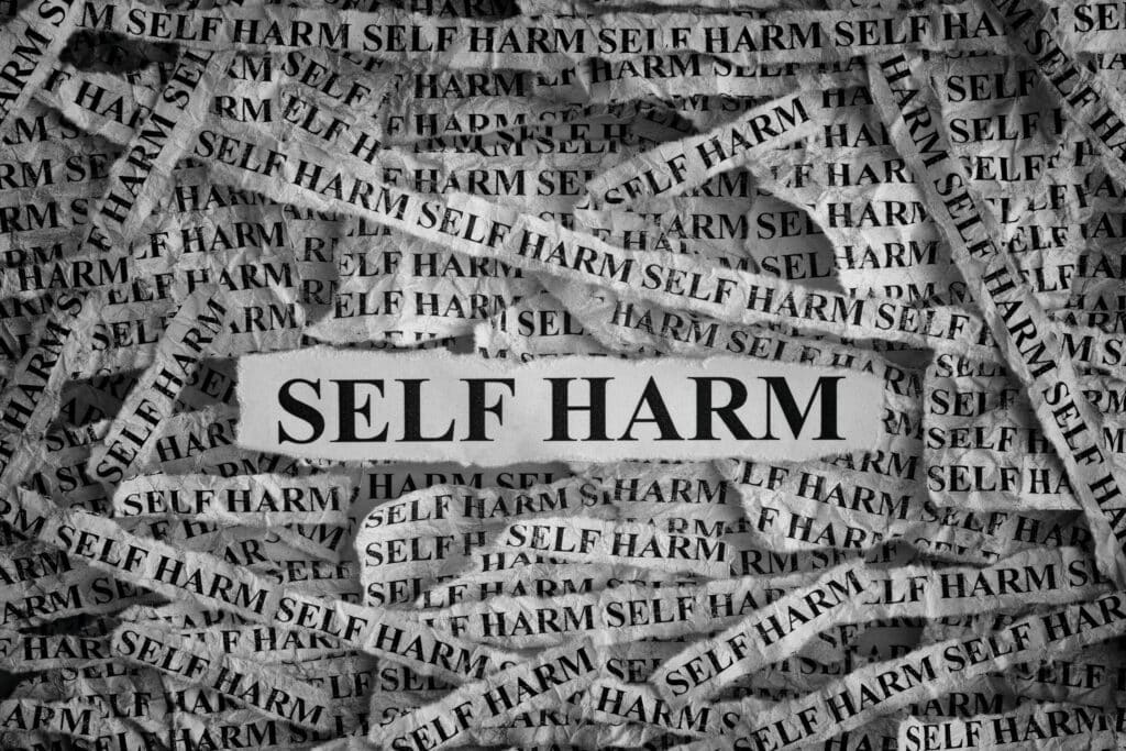 ripped slips of paper that say self harm